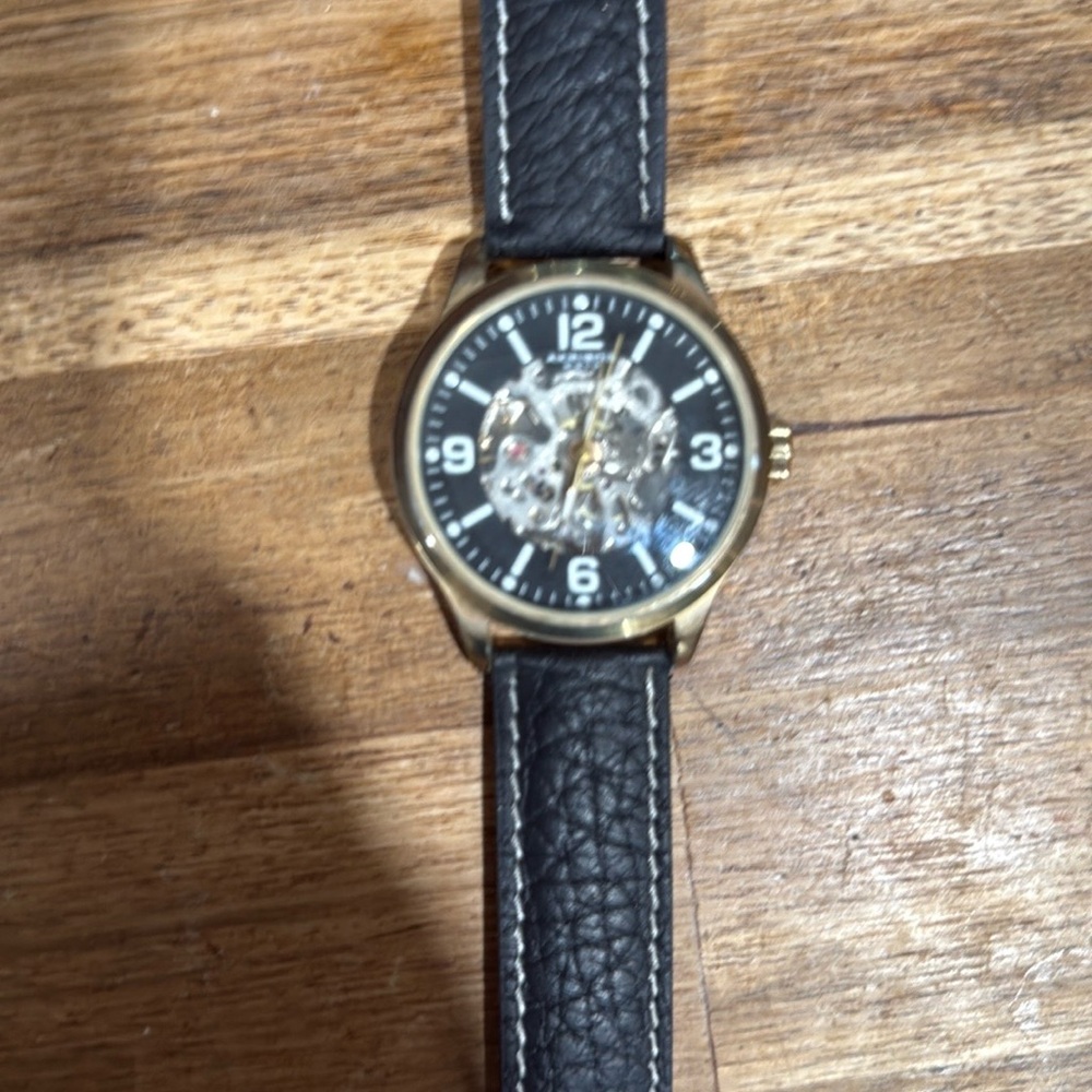 Akribos XXIV Black and Gold Men's Watch